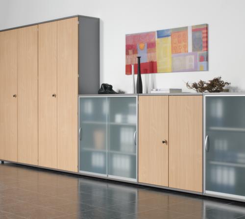 Gera Glastürenschrank Pro