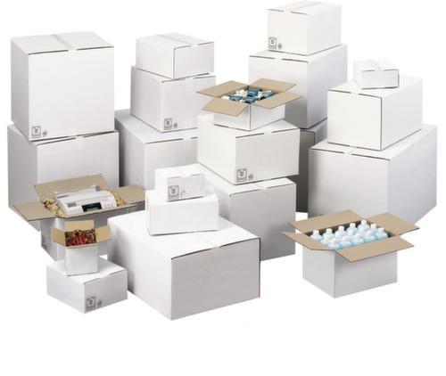 Wellpapp-Faltkarton mit 20 kg Traglast