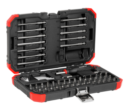 GEDORE R33003067 Bit-Satz 1/4 67tlg BMC