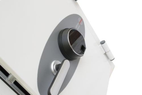 Phoenix Safe Brandschutzschrank Datacare