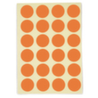 std_01 S