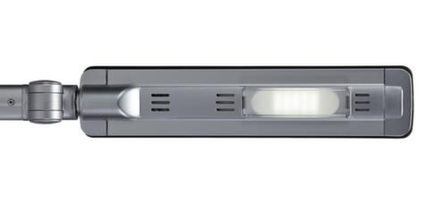 MAUL Dimmbare LED-Tischleuchte MAULpure, Licht kaltweiß (tageslichtweiß), silber