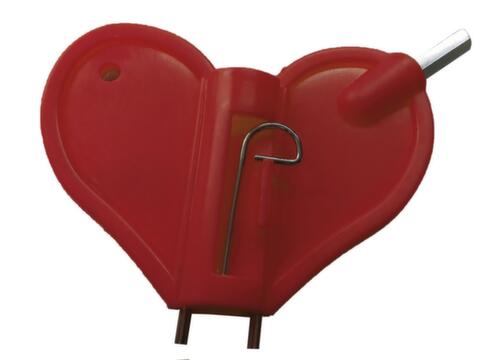 Schake Ersatzschlüssel für Warnleuchte