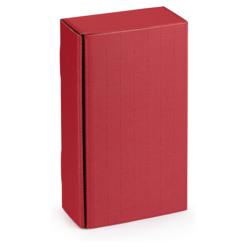 Präsentkarton 2 Flaschen rot