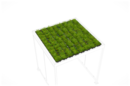 WSM Dachbegrünung GreenPlus Premium
