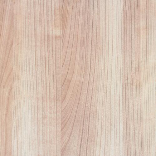 Roll- oder Standcontainer Solid Detail 3 L