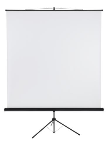 Franken Stativ-Leinwand Standard 1 L