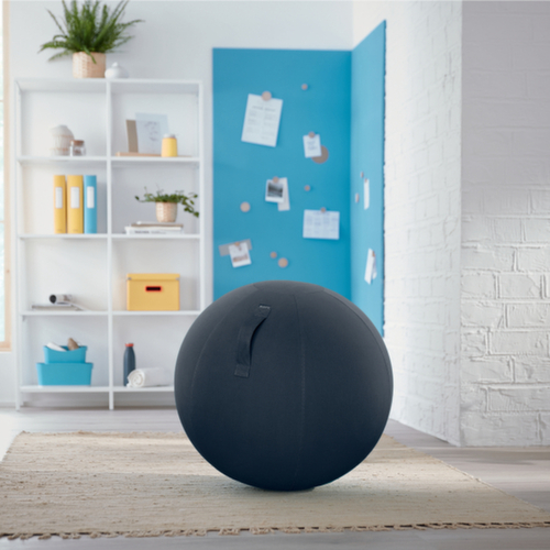 Leitz Sitzball Ergo Cosy, Sitz samtgrau Milieu 2 L