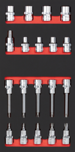 KRAFTWERK® Bit-Steckschlüsselsatz Einlage Standard 1 L