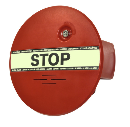 Türüberwachung DEXCON® GfS Standard 1 L