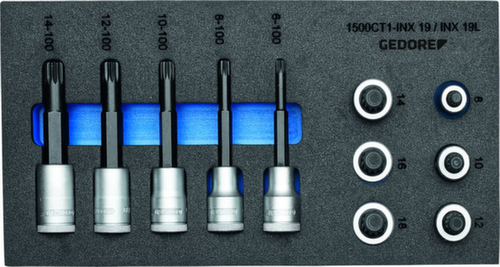 GEDORE 1500 CT1-INX 19 LK Satz Schraubendrehereinsätze 1/2" in Check-Tool-Modul Standard 1 L