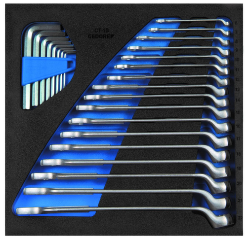 GEDORE 1500 CT2-1 B Ring-Maulschlüssel-Satz in Check-Tool-Modul Standard 1 L