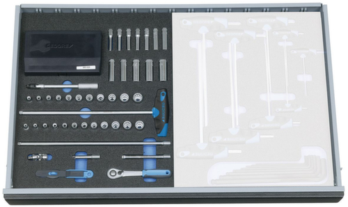 GEDORE 2005 CT2-D 20 Steckschlüssel-Sortiment 1/4" in Check-Tool-Modul Standard 3 L