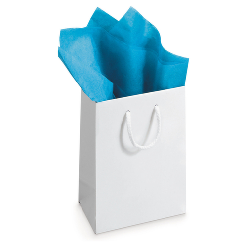 Packseide-Bögen Standard 3 L