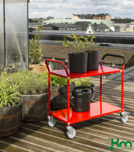 Kongamek Farbiger Tischwagen Milieu 3 L