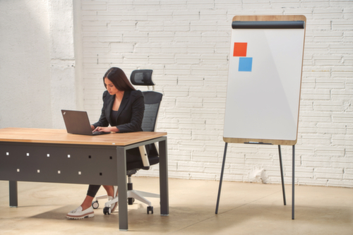 Rocada Flipchart aus Stahl/Holz Milieu 2 L