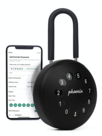 Phoenix Safe Smart Key Safe PALM