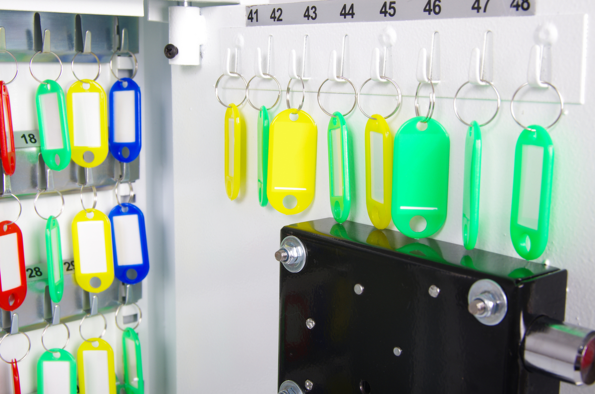 Phoenix Safe Schlüsselschrank CYGNUS Detail 3 ZOOM